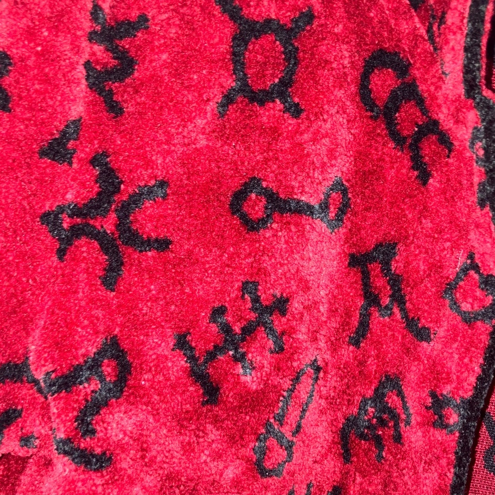 Vintage‎ Red Carpet Fleece Jacket with Black Brand Print - Picture 4 of 12